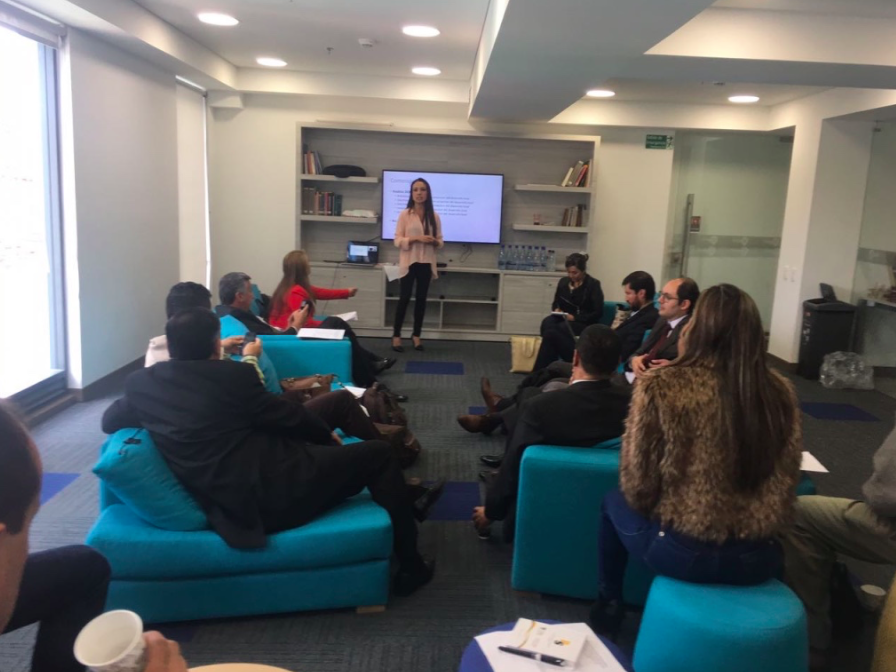 Sustainable Community Development in Post-conflict Resource Regions - Consultation Workshop, Bogota, Colombia
