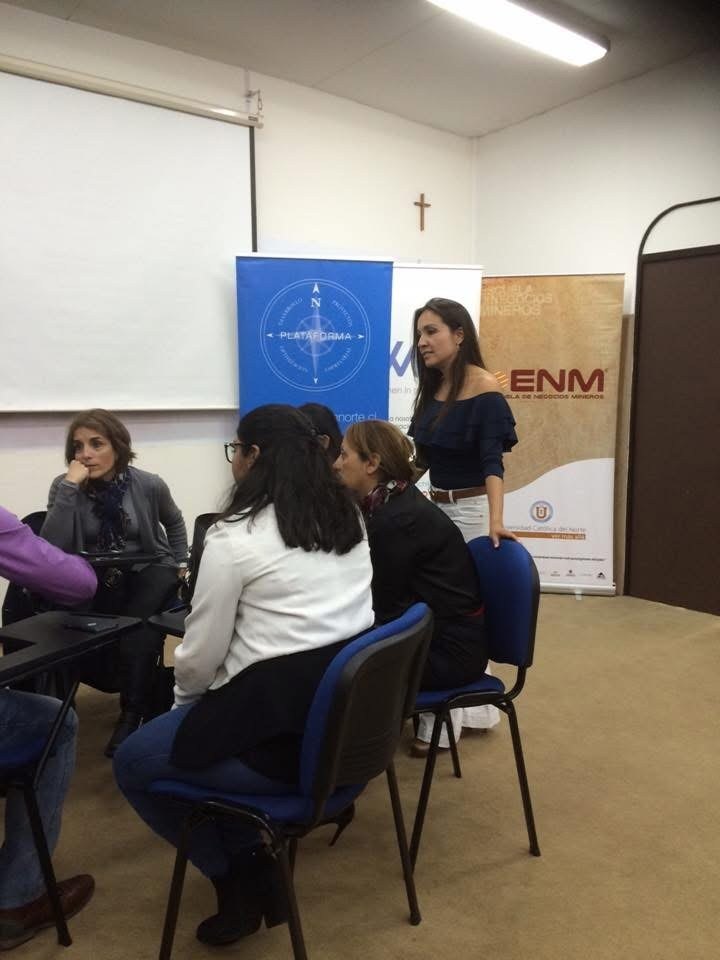 Workshop on Women, Extractives and Sustainability with Academia, Government and Industry, Antofagasta, Chile