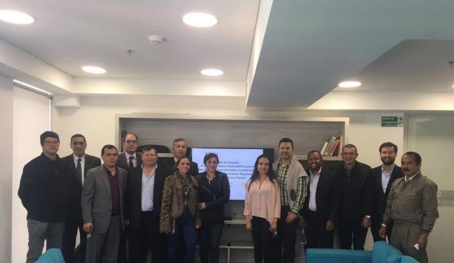 Government and Industry Consultation for a Centre of Excellence in Sustainable Mining, Colombia