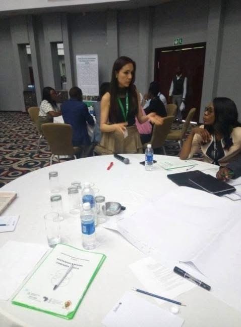 Working Session, Sustainable Mining in Zambia Conference, UNU and University of Zambia, Lusaka, Zambia